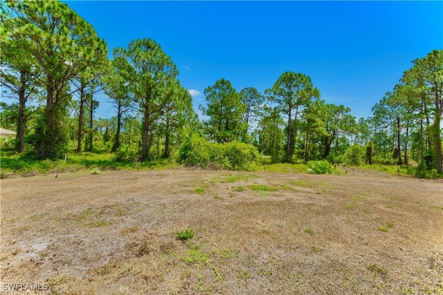869/871 Eisenhower Blvd, Lehigh Acres, FL 33974 - view of undeveloped land