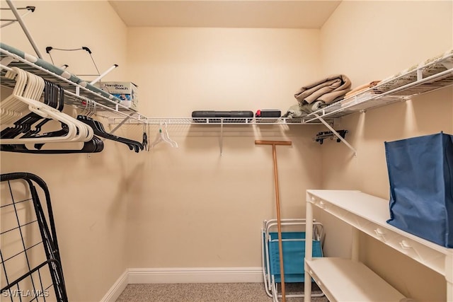 2825 Palm Beach Blvd Unit 203, Fort Myers, FL 33916 - spacious closet featuring carpet floors