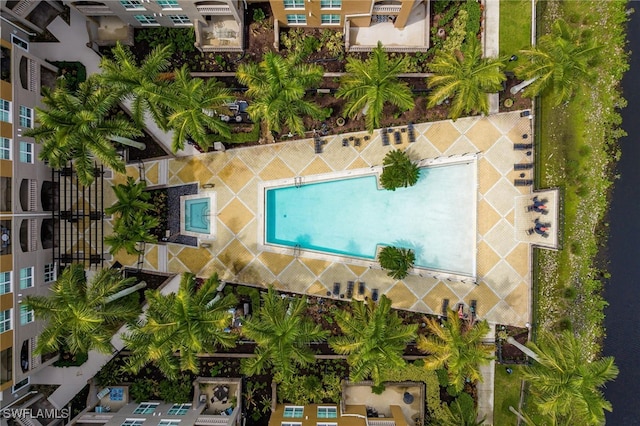 2825 Palm Beach Blvd Unit 203, Fort Myers, FL 33916 - aerial view of a pool area