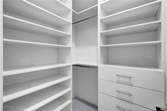 3366 72nd Ave NE, Naples, FL 34120 - view of spacious closet
