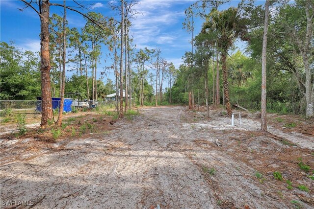 3366 72nd Ave NE, Naples, FL 34120 - view of yard