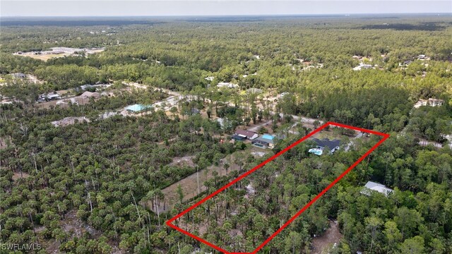 3390 12th Ave SE, Naples, FL 34117 - aerial view of property and surrounding area with a heavily wooded area and property parcel outlined