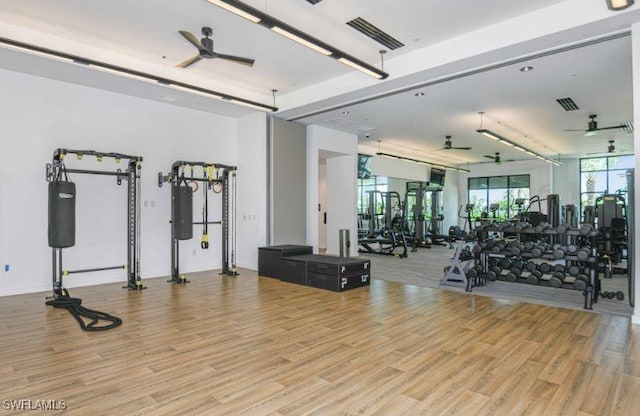 workout area featuring ceiling fan and wood finished floors