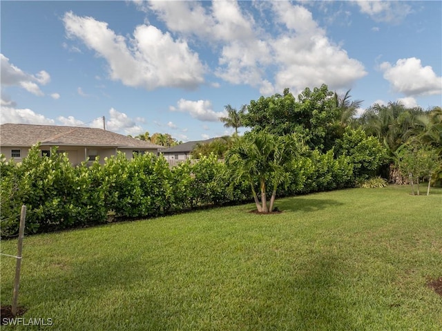 1806 SW 17th St, Cape Coral, FL 33991 - view of green lawn