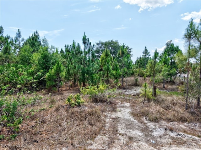12120 Vista Ridge Dr, Fort Myers, FL 33913