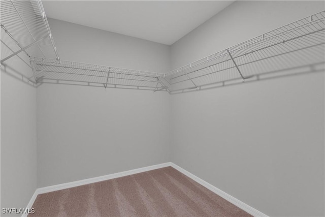 23206 Fitzpatrick Ave, Port Charlotte, FL 33980 - spacious closet featuring carpet flooring