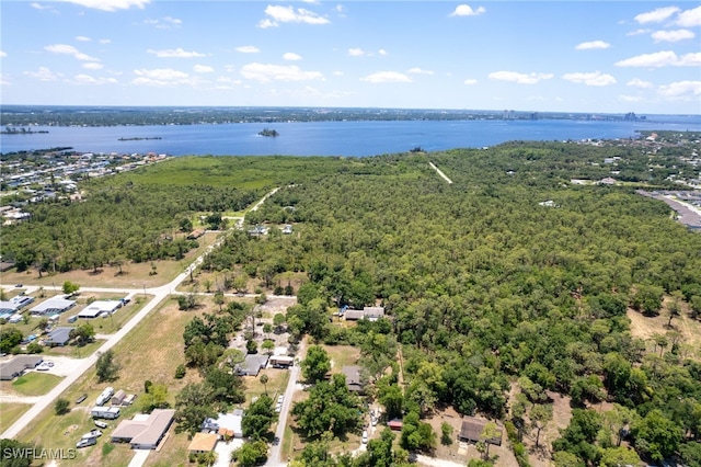 16351 Karen Way N, Fort Myers, FL 33917 - aerial view of a large body of water and a heavily wooded area