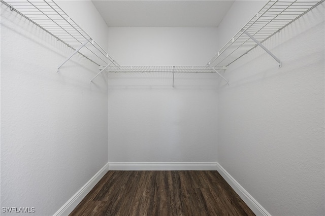 3272 Red Blush Way, Naples, FL 34120 - walk in closet with wood finished floors