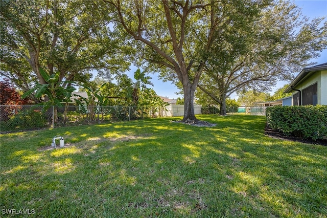 3272 Red Blush Way, Naples, FL 34120 - view of yard