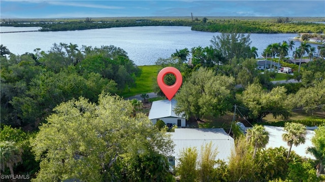 203 Carol Way, Fort Myers, FL 33905 - drone / aerial view of a large body of water and a forest