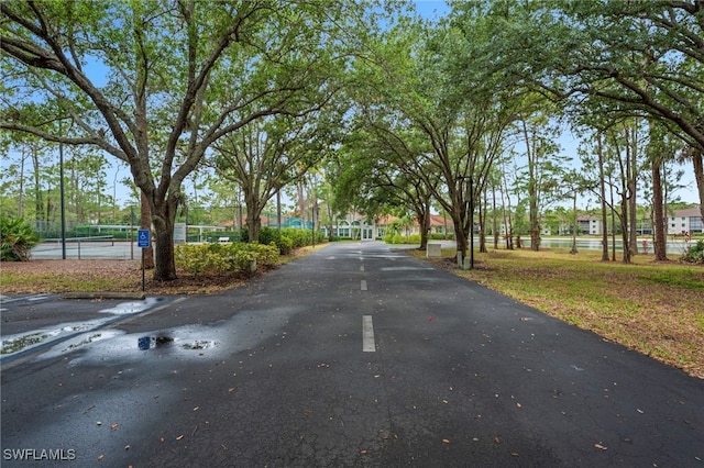 view of asphalt road