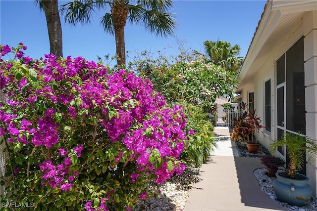 2116 Paget Cir Unit 1, Naples, FL 34112 - view of yard