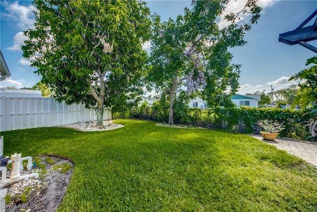 5905 Untermeyer Ct, North Fort Myers, FL 33903 - view of yard