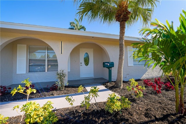 2564 Poinciana St, Naples, FL 34105 - entrance to property with stucco siding