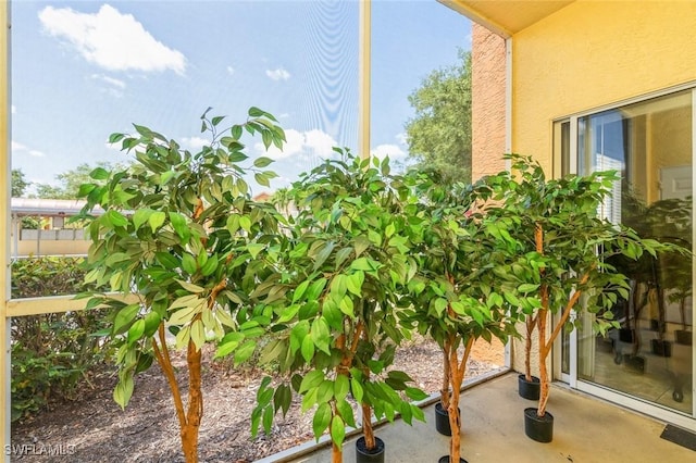 6461 Aragon Way Unit 102, Fort Myers, FL 33966 - view of yard