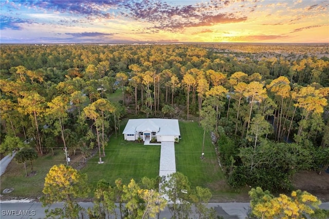 aerial view at dusk of a forest view