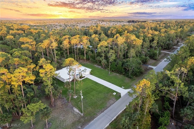 bird's eye view of a heavily wooded area