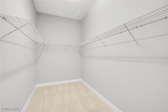 11810 Timbermarsh Ct, Fort Myers, FL 33913 - spacious closet featuring carpet flooring