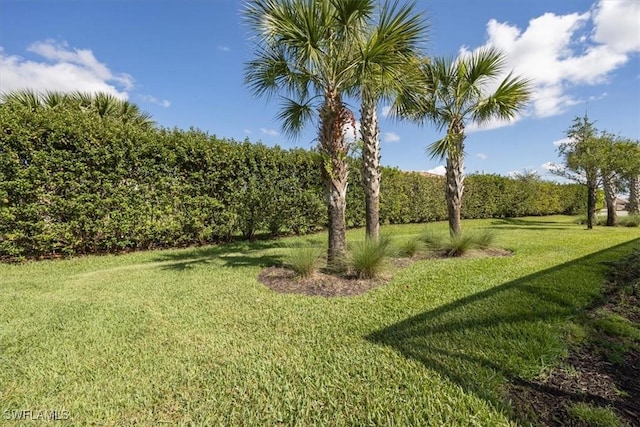 4969 Seton St, Ave Maria, FL 34142 - view of green lawn
