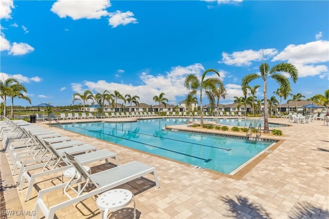 16811 Elkhorn Coral Dr, North Fort Myers, FL 33903 - community pool with a patio