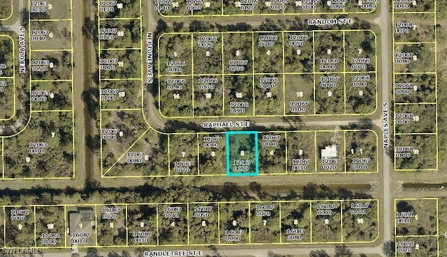 1238 Raphael St E, Lehigh Acres, FL 33974