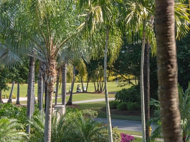 2452 Terra Verde Ln Unit 2452, Naples, FL 34105 - view of property's community featuring a lawn
