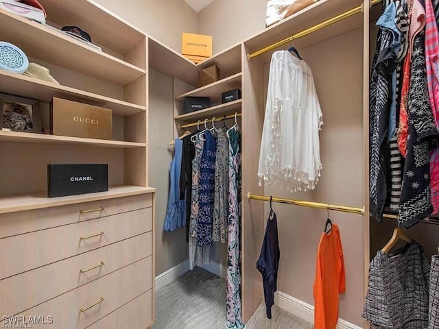 2452 Terra Verde Ln Unit 2452, Naples, FL 34105 - spacious closet with carpet flooring