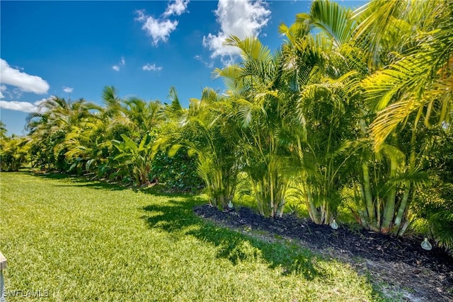 3726 Ceitus Pkwy, Cape Coral, FL 33991 - view of green lawn