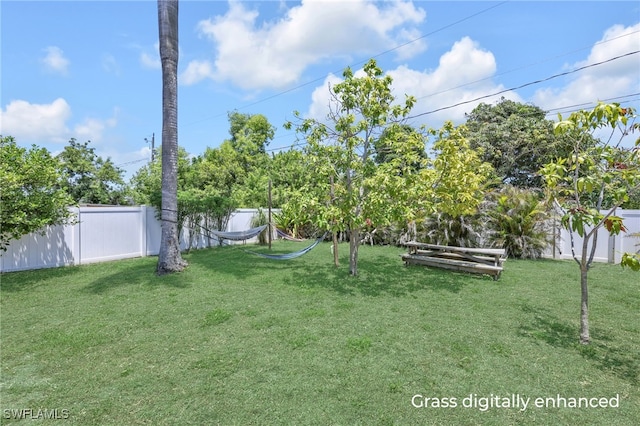 5397 25th Ave SW, Naples, FL 34116 - view of yard