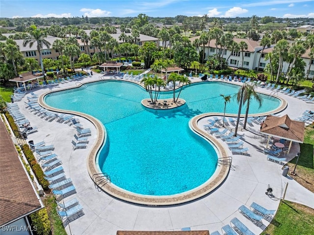3450 Frosty Way Unit 5210, Naples, FL 34112 - community pool featuring a residential view