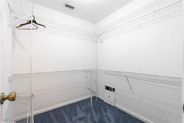 3450 Frosty Way Unit 5210, Naples, FL 34112 - spacious closet featuring dark carpet