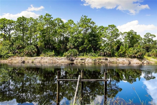 221 10th St SE, Naples, FL 34117 - water view