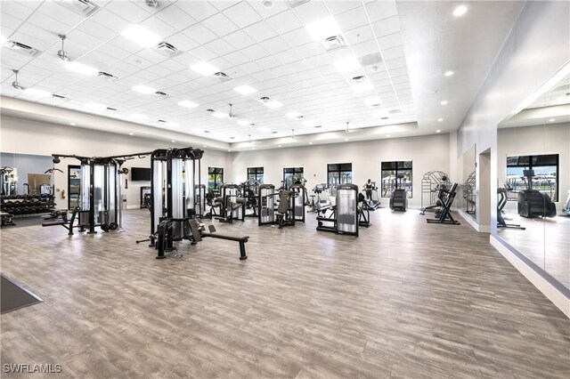 20467 Napa Loop, Estero, FL 33928 - gym featuring a paneled ceiling, wood finished floors, plenty of natural light, a towering ceiling, and baseboards