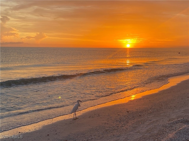 815 Rose Ct, Marco Island, FL 34145 - water view featuring nearby beach