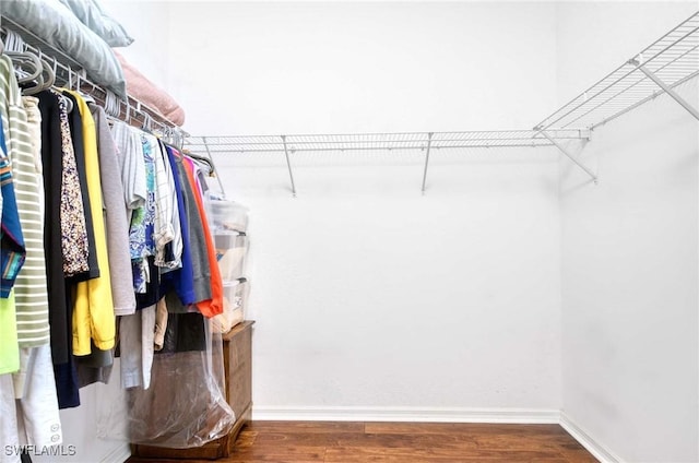 13891 Lake Mahogany Blvd Unit 3123, Fort Myers, FL 33907 - walk in closet featuring wood finished floors