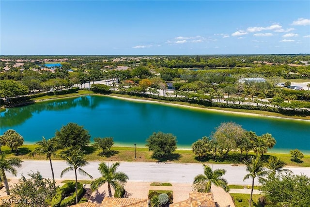 9142 Cherry Oaks Ln Unit 202, Naples, FL 34114 - bird's eye view of a large body of water