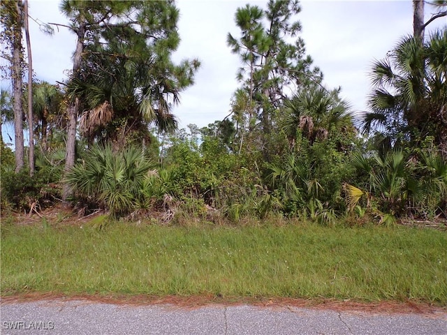 3206 Callisto St, Port Charlotte, FL 33981