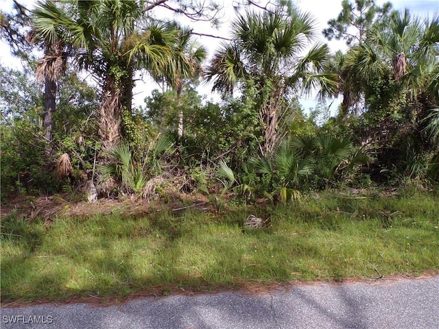 3206 Callisto St, Port Charlotte, FL 33981