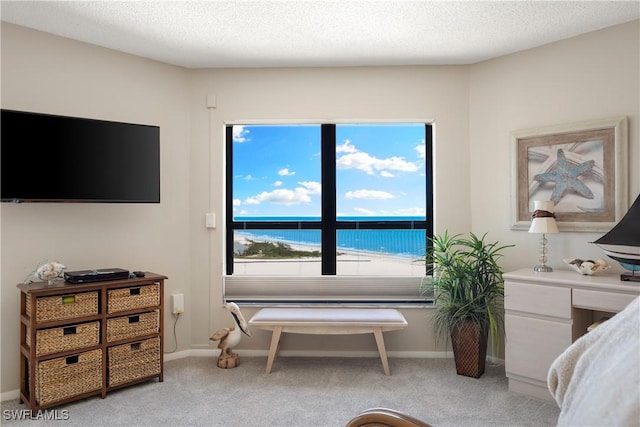 6612 Estero Blvd Unit Ph2, Fort Myers Beach, FL 33931 - bedroom featuring light carpet, baseboards, and a textured ceiling