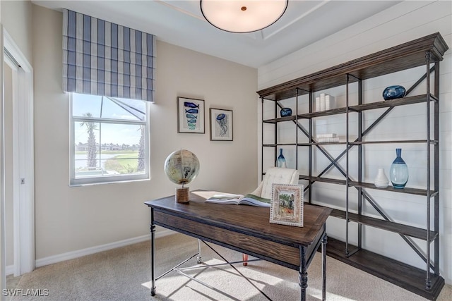 10871 Rose Quartz Ln, North Fort Myers, FL 33917 - home office with carpet flooring and baseboards