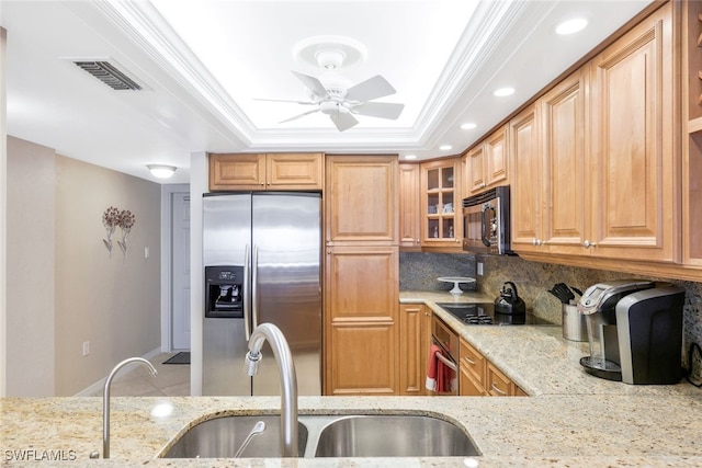 kitchen with stainless steel appliances, a sink, light stone counters, a raised ceiling, and decorative backsplash