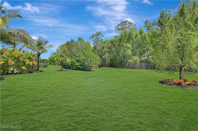 2102 Antigua Ln, Naples, FL 34120 - view of green lawn