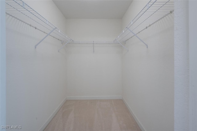 walk in closet with light colored carpet