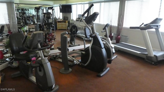 17156 Ravens Roost Unit 7, Fort Myers, FL 33908 - gym featuring healthy amount of natural light