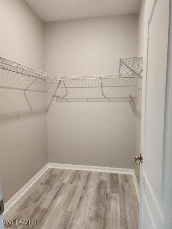 16006 Mistflower Dr, Alva, FL 33920 - walk in closet with light wood-type flooring