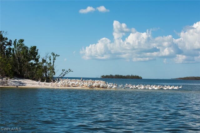 154 Newport Dr Unit 1307, Naples, FL 34114 - water view