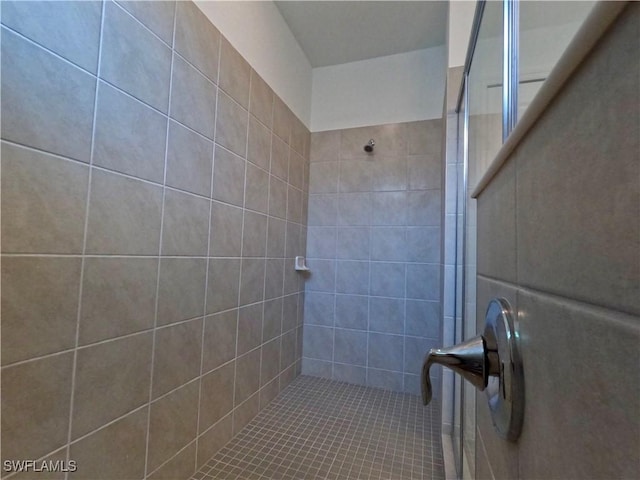 3663 Wild Sage Way, Alva, FL 33920 - full bath featuring tiled shower
