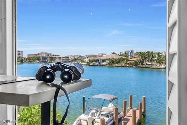 333 Harbour Dr Unit 201, Naples, FL 34103 - water view featuring a boat dock