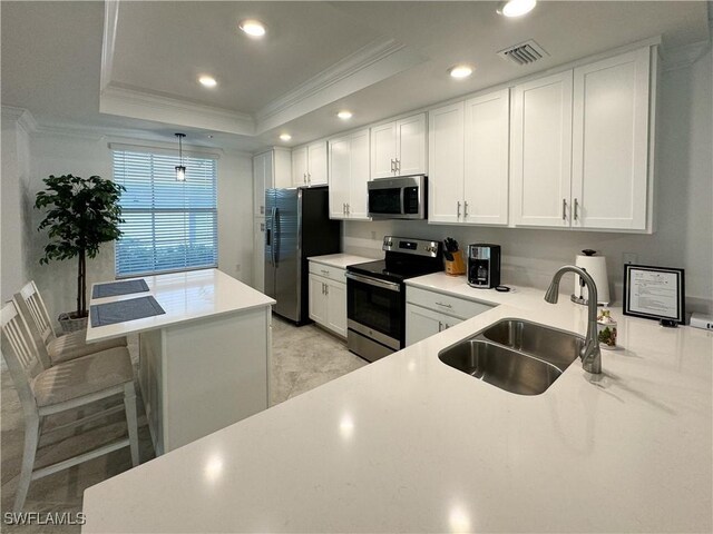6023 Ellerston Way Unit 1816, Ave Maria, FL 34142 - kitchen with appliances with stainless steel finishes, ornamental molding, a tray ceiling, a sink, and recessed lighting