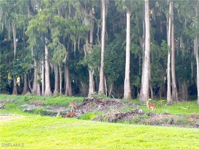 6023 Ellerston Way Unit 1816, Ave Maria, FL 34142 - view of local wilderness
